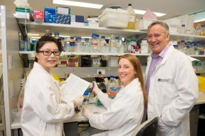 Professor Paul Hertzog (right), Dr. Ka Yee Fung (left) and Dr. Niamh Mangan (center), from the Centre for Innate Immunity and Infectious Diseases, Monash Institute of Medical Research, Monash University.