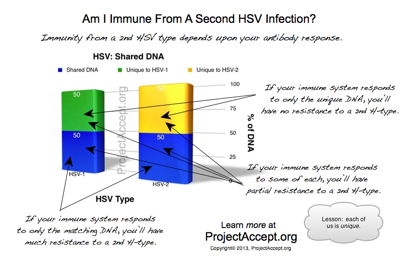 HSV Immunity